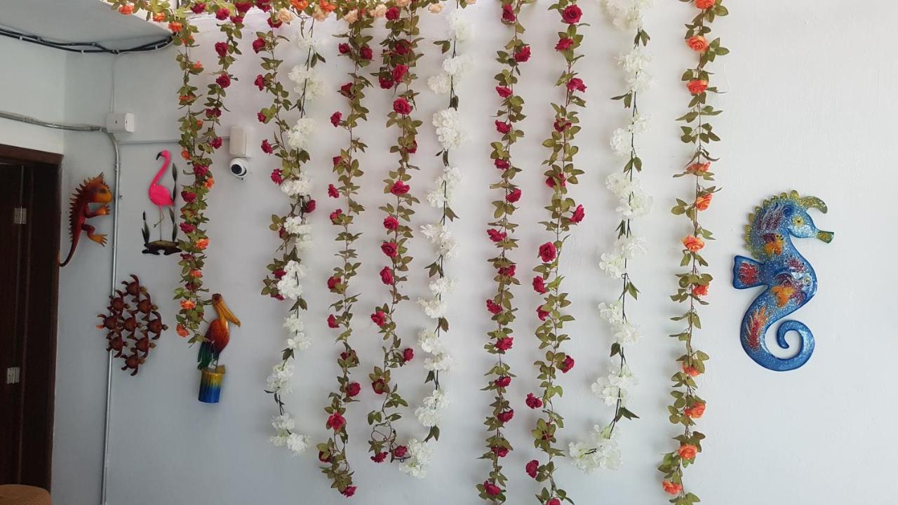 Posada Bugambilia Mazatlan Dış mekan fotoğraf